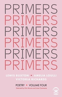 bokomslag Primers Volume Four