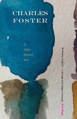 Charles Foster - little brown sea, Häftad