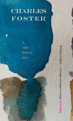 Charles Foster - little brown sea, Inbunden