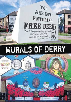 Paul Hippsley - Murals of Derry, Häftad