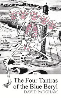 bokomslag The Four Tantras of Blue Beryl