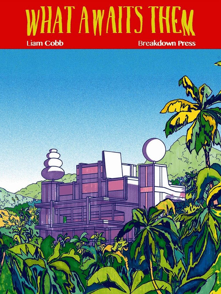 Liam Cobb - What Awaits Them, Häftad