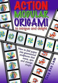 bokomslag Action Modular Origami