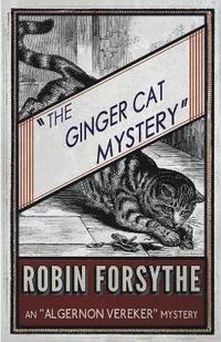bokomslag Ginger Cat Mystery