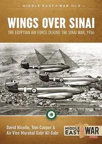 bokomslag Wings Over Sinai