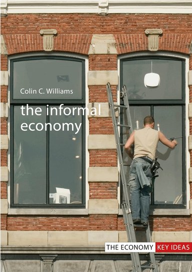 Colin C. Williams - Informal Economy, Inbunden