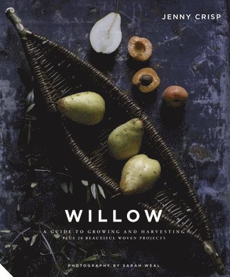 Willow 1