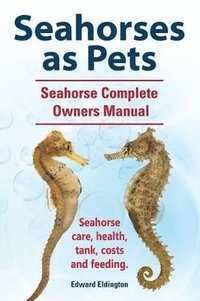 bokomslag Seahorses as Pets. Seahorse Complete Owners Manual. Seahorse care, health, tank, costs and feeding.