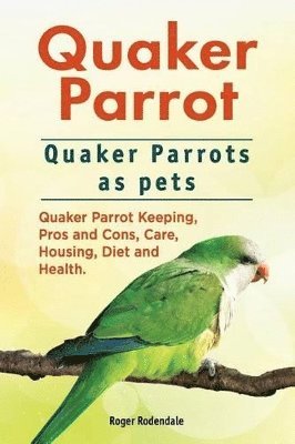 Quaker Parrot. Quaker Parrots as pets. Quaker Parrot Keeping, Pros and Cons, Care, Housing, Diet and Health. 1