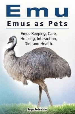 Emu. Emus as Pets. Emus Keeping, Care, Housing, Interaction, Diet and Health 1