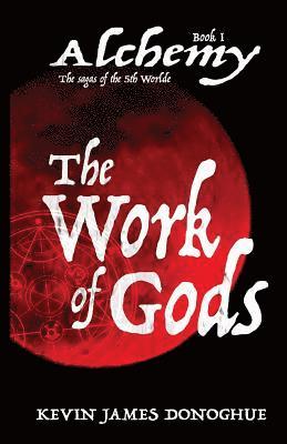 bokomslag Work of Gods