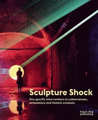 bokomslag Sculpture Shock: Site specific interventions in subterranean, ambulatory and historic contexts