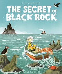 bokomslag The Secret of Black Rock