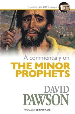 bokomslag Commentary on The Minor Prophets