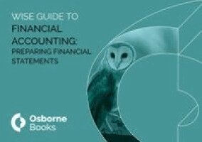 Debbie Board - FINANCIAL ACCOUNTING: PREPARING FINANCIAL STAETMENTS WISEGUIDE, Häftad
