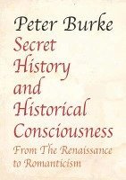 bokomslag Secret History and Historical Consciousness From Renaissance to Romantic