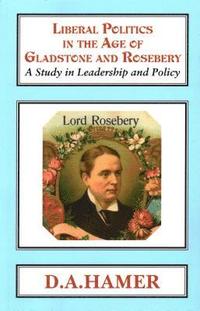 bokomslag Liberal Politics in the Age of Gladstone and Rosebery