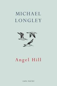 bokomslag Angel Hill