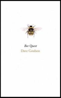 bokomslag Bee quest