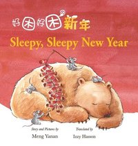 bokomslag Sleepy, Sleepy New Year