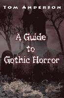 bokomslag A Guide to Gothic Horror
