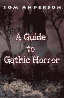 bokomslag Guide to Gothic Horror