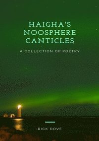 bokomslag Haigha's Noosphere Canticles a Collection of Poetry