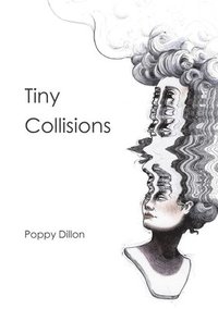 bokomslag Tiny Collisions