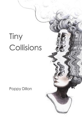 bokomslag Tiny Collisions
