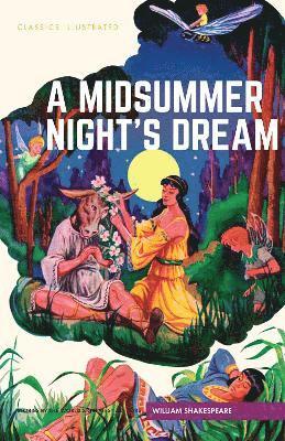 bokomslag Midsummer Nights Dream