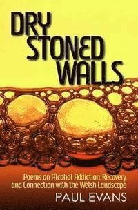 bokomslag Dry Stoned Walls