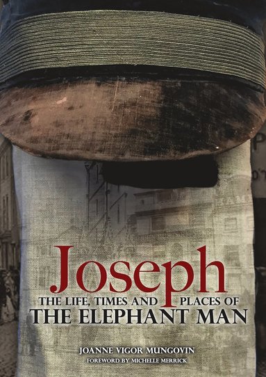 bokomslag Joseph: The Life, Times and Places of The Elephant Man