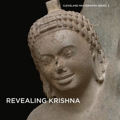 bokomslag Revealing Krishna