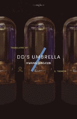 bokomslag dd's Umbrella