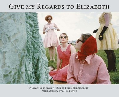 bokomslag Give My Regards to Elizabeth