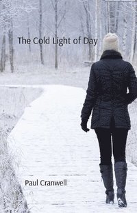 bokomslag Cold Light Of Day