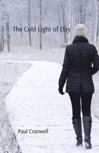 bokomslag Cold Light of Day