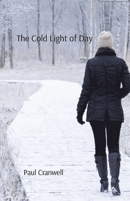 bokomslag Cold Light of Day