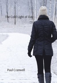 bokomslag Cold Light Of Day