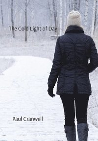 bokomslag Cold Light of Day