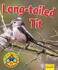 bokomslag Wildlife Watchers: Long-tailed tit