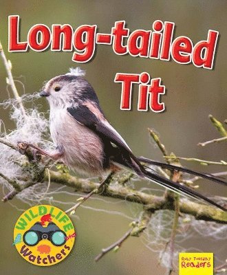 Wildlife Watchers: Long-tailed tit 1
