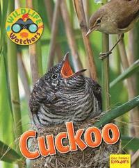 bokomslag Wildlife Watchers: Cuckoo