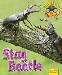 bokomslag Wildlife Watchers: Stag Beetle