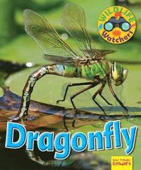 bokomslag Wildlife Watchers: Dragonfly