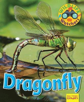 Wildlife Watchers: Dragonfly 1