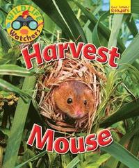 bokomslag Wildlife Watchers: Harvest Mouse