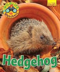 bokomslag Wildlife Watchers: Hedgehog