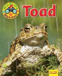 bokomslag Wildlife Watchers: Toad