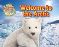 bokomslag Welcome to the Arctic